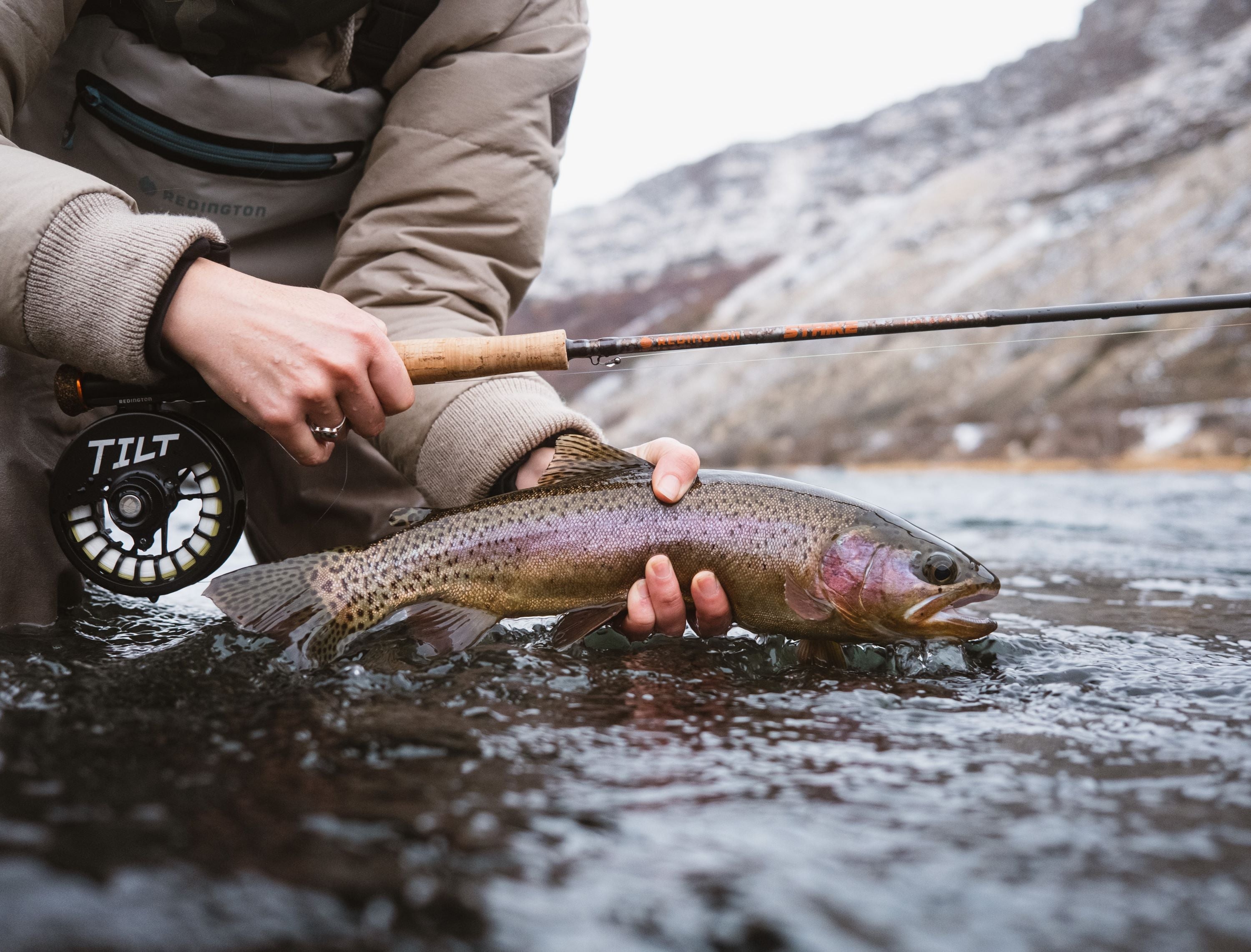 STRIKE II ROD