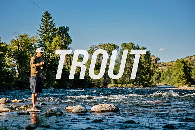 TROUT REEL