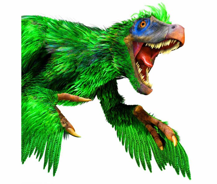 UV2 RAPTOR HACKLE