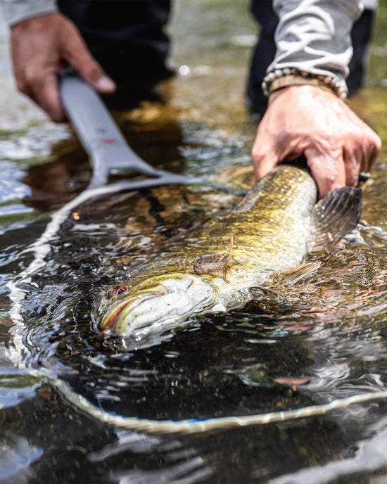 DAYMAKER BOAT NET SHORT HANDLE