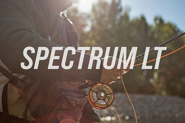 SPECTRUM LT REELS