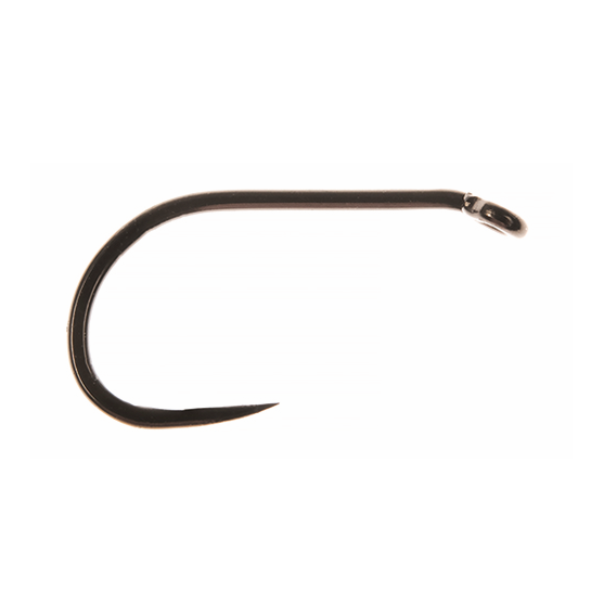 AHREX FW 505 DRY FLY 24pack