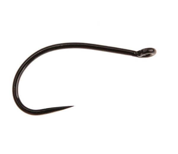 AHREX FW 521 EMERGER 24pack