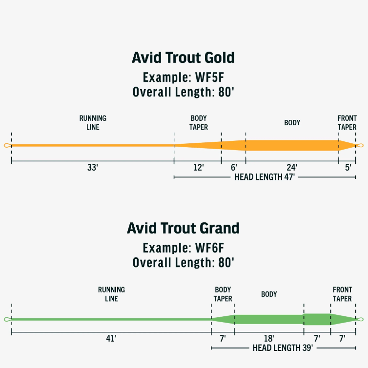 AVID GOLD FLY LINE