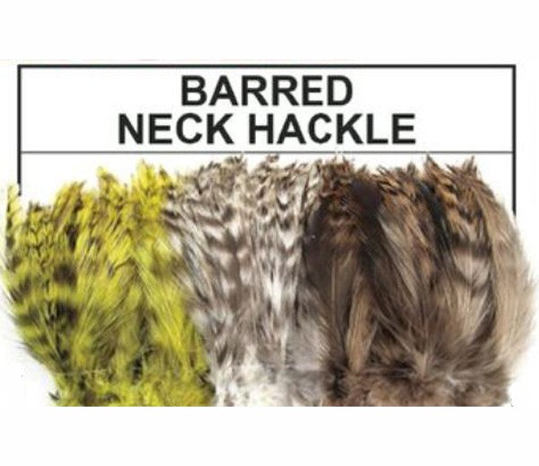 BARRED NECK HACKLE 1/4oz pack