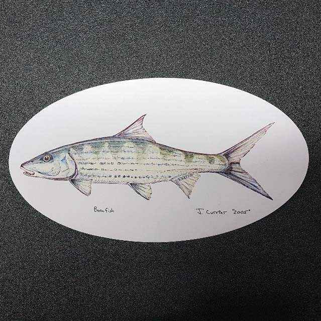 Bonefish Sticker