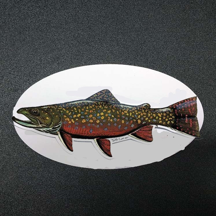 Brook Trout Sticker