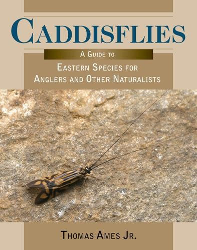 CADDISFLIES: A GUIDE TO EASTERN SPECIES