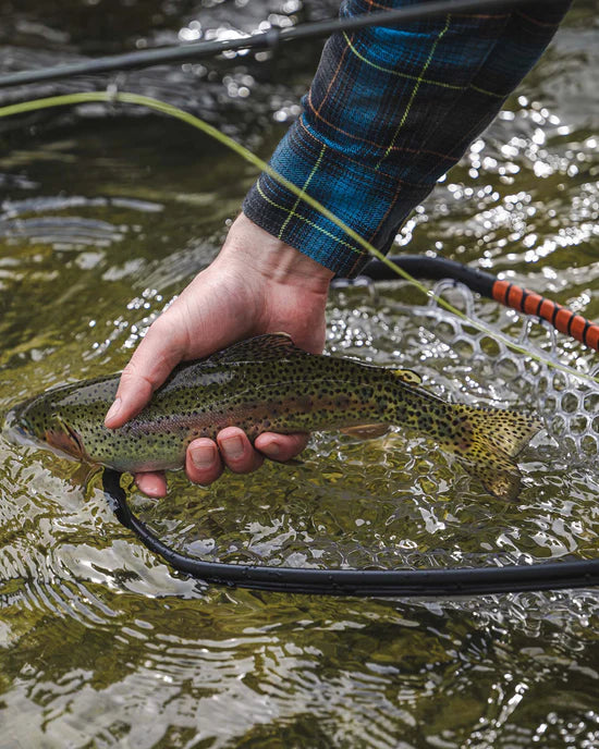 DAYMAKER LANDING NET