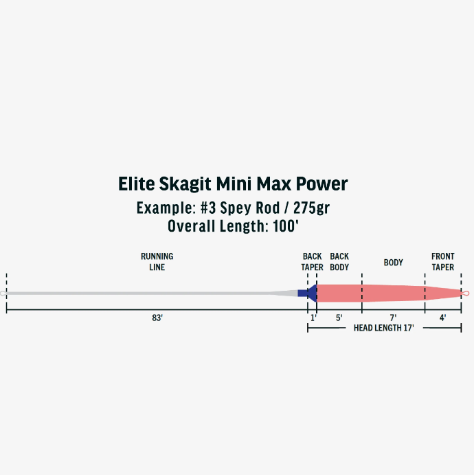 ELITE SKAGIT MINI MAX