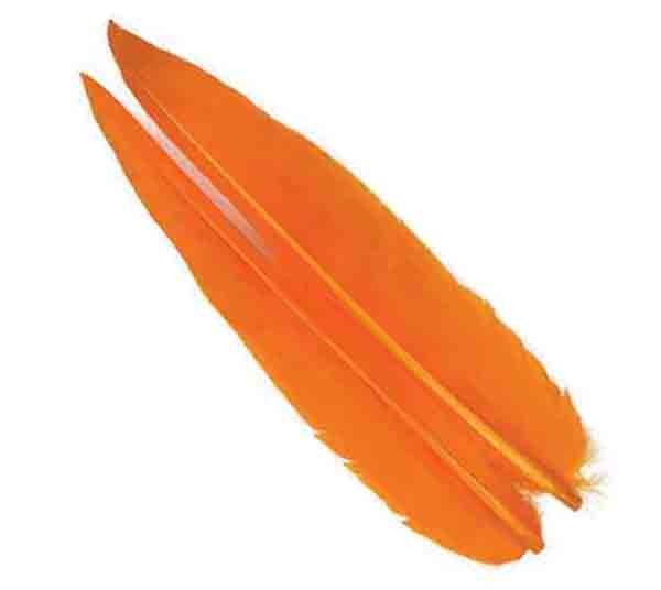 Goose Quills from Wapsi