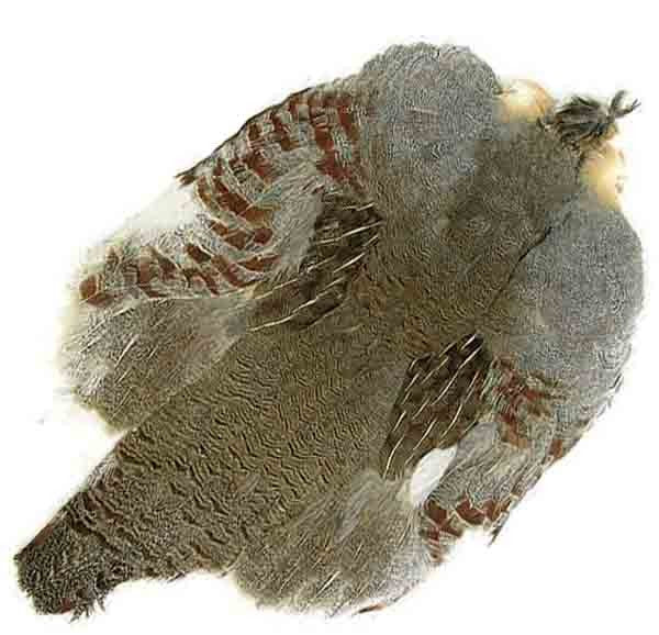 Hungarian Partridge Whole Skins