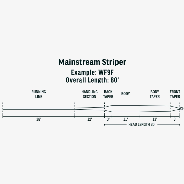 MAINSTREAM STRIPER FLY LINE INTERMEDIATE