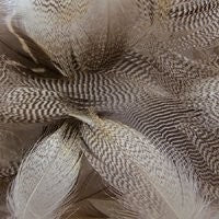 Prime Mixed Waterfowl Feathers