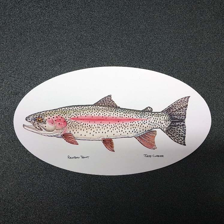 Rainbow Trout Sticker