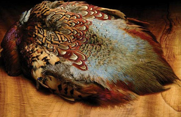 Ringneck Pheasant Skin Only