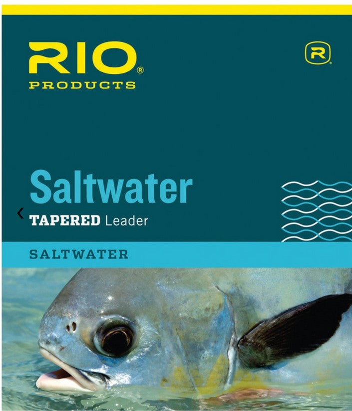 SALTWATER LEADER 10' 3-PACK