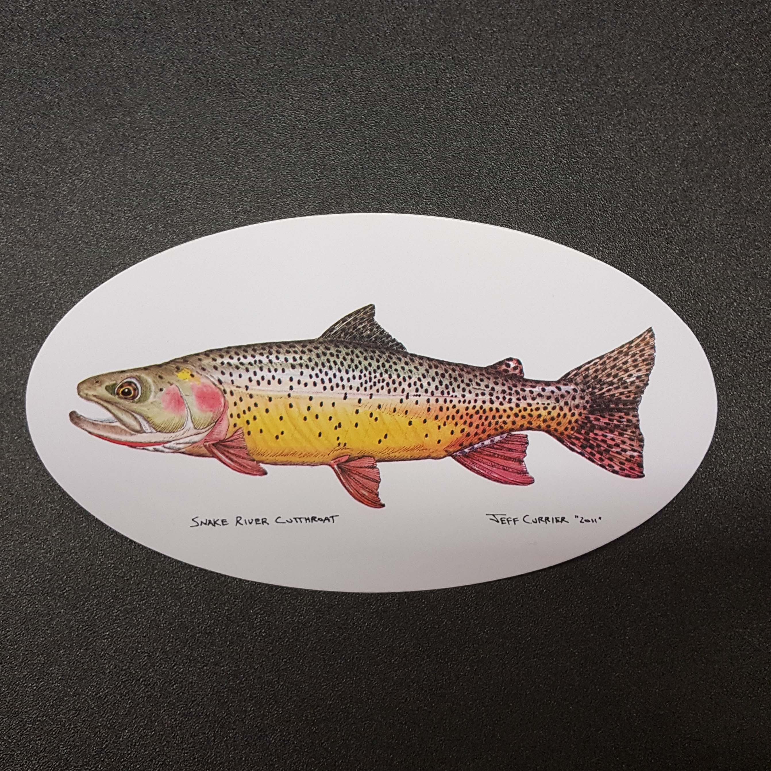 Snake River Cuttthroat Trout Sticker 3.25x 6"