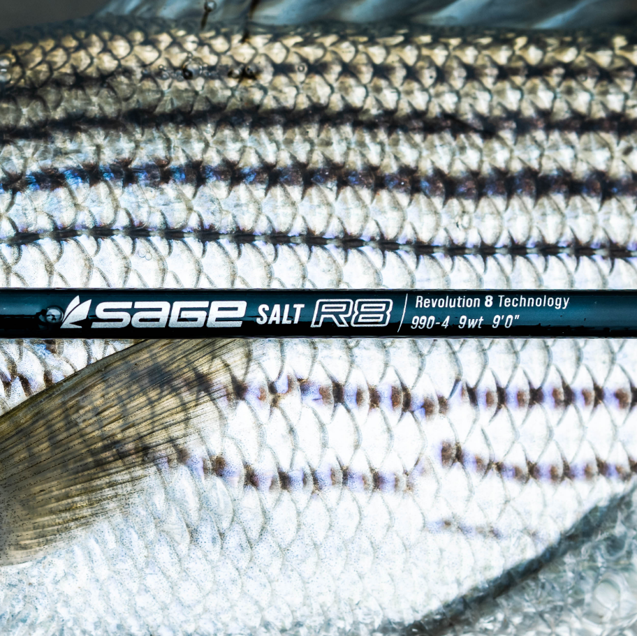 SALT R8 ROD 4PC