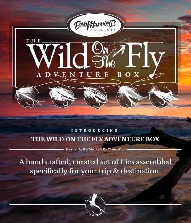 Fly Fishing Books & DVD's at The Fly Shop